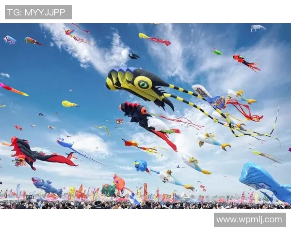 龙杯：古老传承与现代荣耀